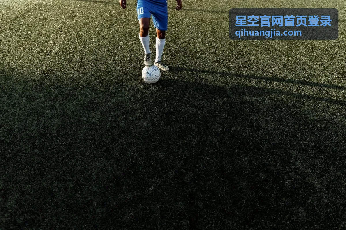星空官网首页登录权益与资源查看示意