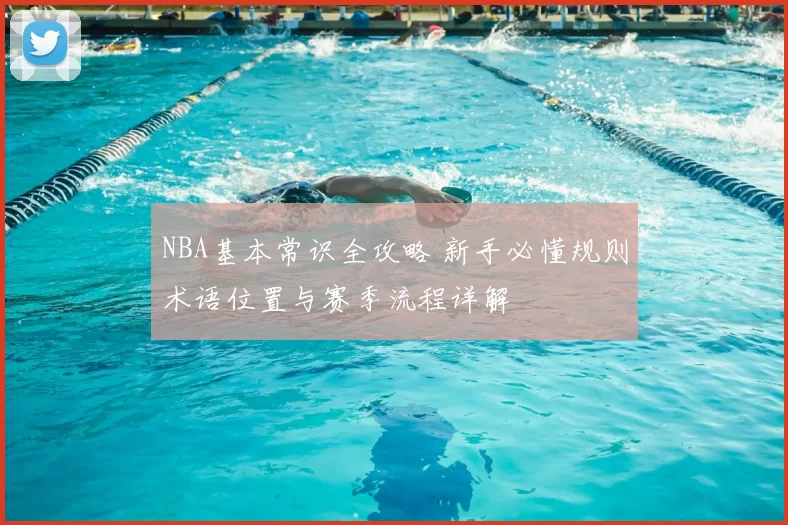 NBA基本常识全攻略 新手必懂规则术语位置与赛季流程详解