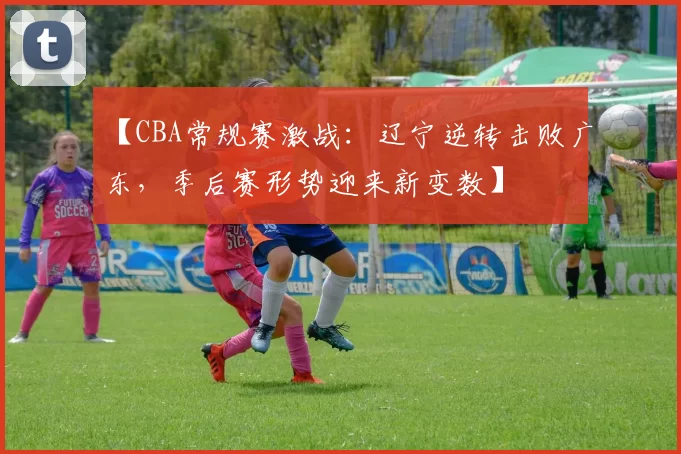 【CBA常规赛激战：辽宁逆转击败广东，季后赛形势迎来新变数】