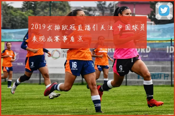 2019女排欧冠直播引关注 中国球员表现成赛事看点