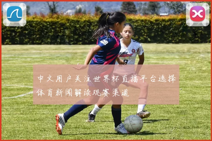 中文用户关注世界杯直播平台选择体育新闻解读观赛渠道