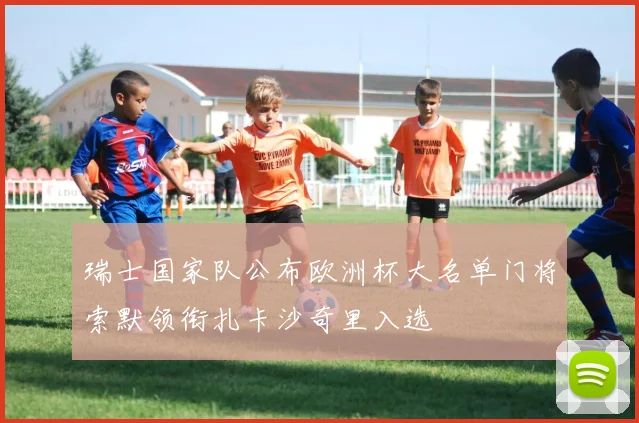 瑞士国家队公布欧洲杯大名单门将索默领衔扎卡沙奇里入选