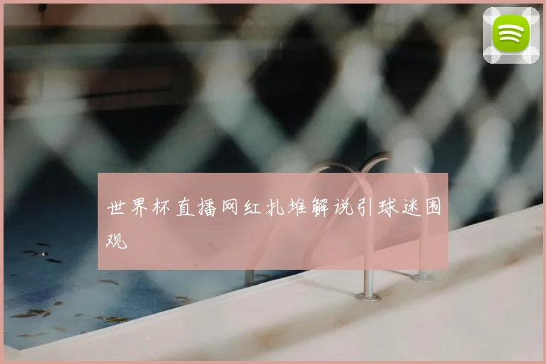 世界杯直播网红扎堆解说引球迷围观