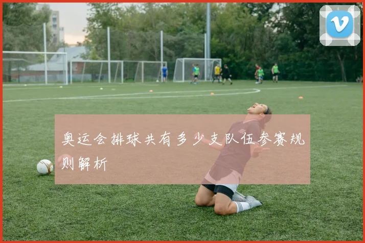 奥运会排球共有多少支队伍参赛规则解析