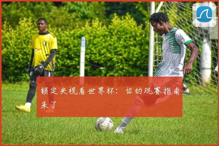 锁定央视看世界杯：你的观赛指南来了