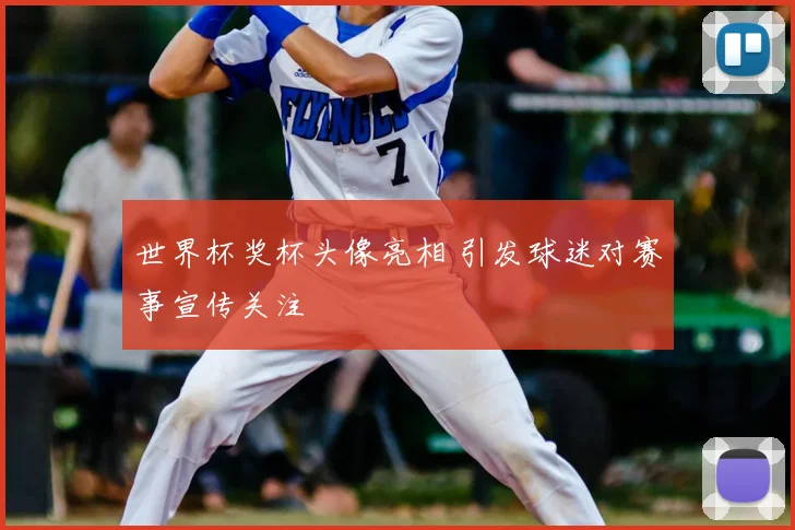 世界杯奖杯头像亮相 引发球迷对赛事宣传关注