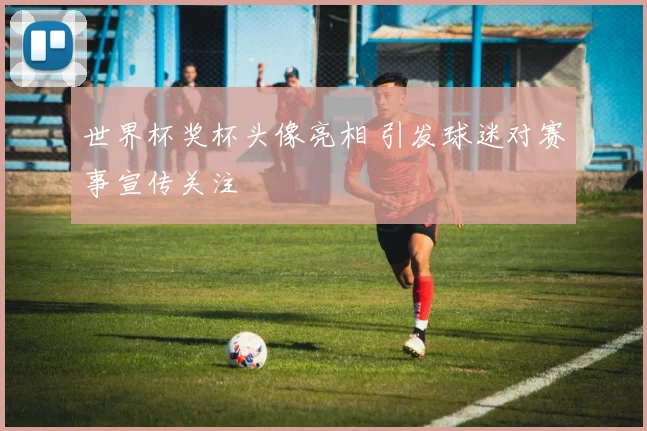 世界杯奖杯头像亮相 引发球迷对赛事宣传关注